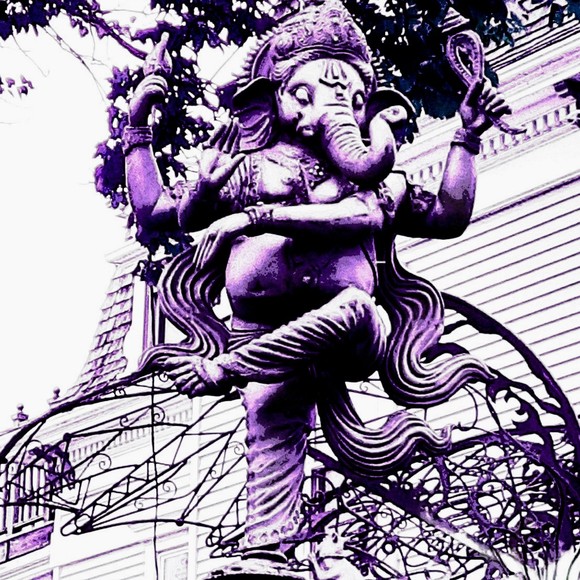 Meet the Posher Other - Meet your Posher, Renee